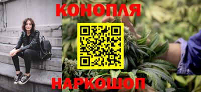 шишки Жуковский
