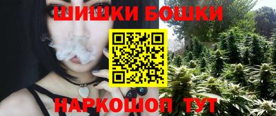 шишки Жуковский