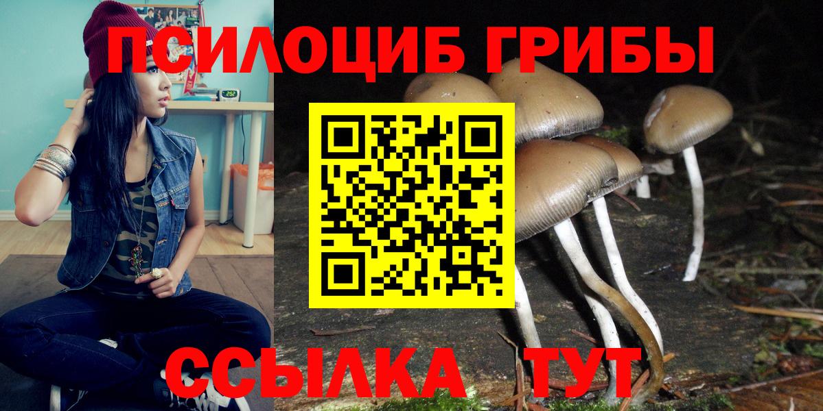Галлюциногенные грибы прущие грибы Кумертау